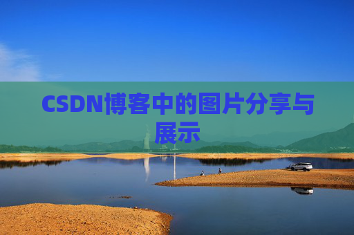CSDN博客中的图片分享与展示